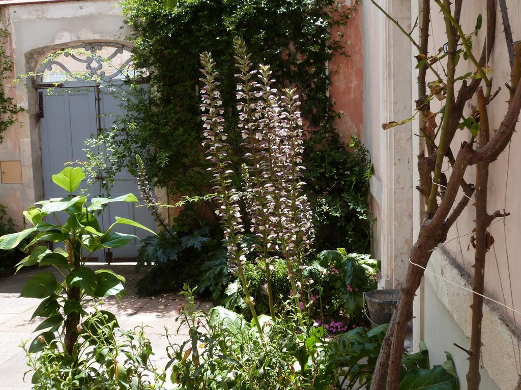 Maison Arriu Bed & Breakfast Montaut  Exterior photo